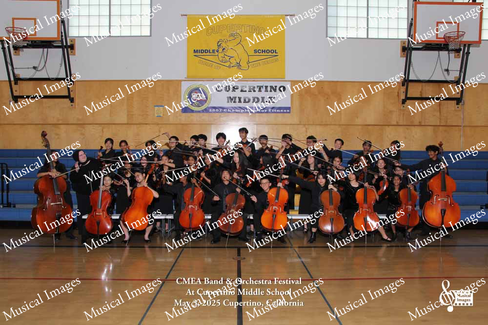 Musical Images